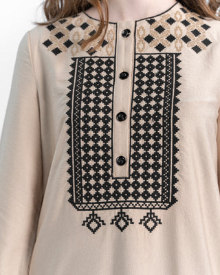 Two-piece embroidered kameez and sirwal pants — ASHI