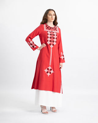 Embroidered Desi kameez and skirt set — ASHI
