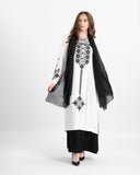 Two-piece embroidered kameez and skirt set — ASHI