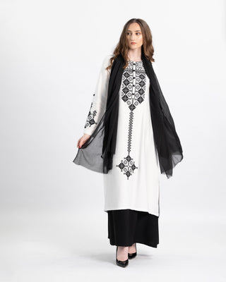 Two-piece embroidered kameez and skirt set — ASHI