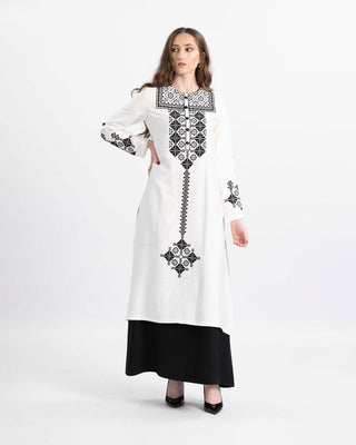 Enchanting Desi embroidered two-piece kameez and skirt set — ASHI